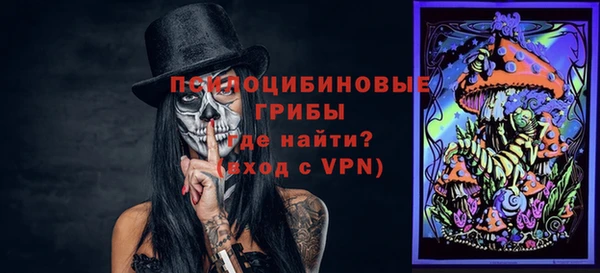 spice Медвежьегорск