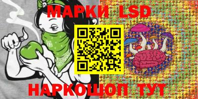 мяу мяу мука Гатчина