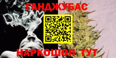 крисы Гай