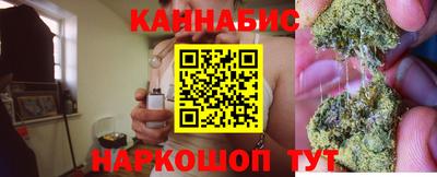 крисы Гай