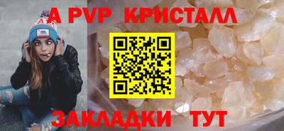 мяу мяу мука Гатчина