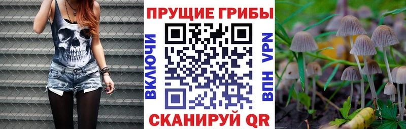 Галлюциногенные грибы мицелий  цены наркотик  Дивногорск 