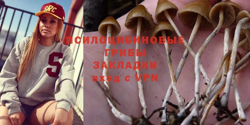 Псилоцибиновые грибы Magic Shrooms Дивногорск