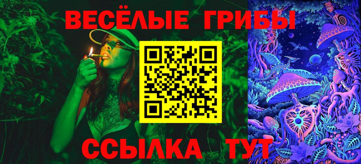 Галлюциногенные грибы Psilocybine cubensis Дивногорск